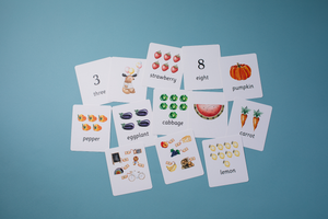 Arithmetic Coins and Cards Set