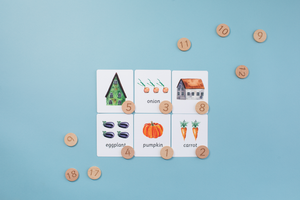 Arithmetic Coins and Cards Set