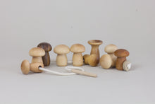 Load image into Gallery viewer, Threading Mushroom Toy
