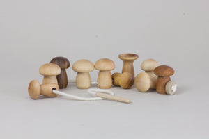 Threading Mushroom Toy