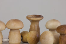 Load image into Gallery viewer, Threading Mushroom Toy
