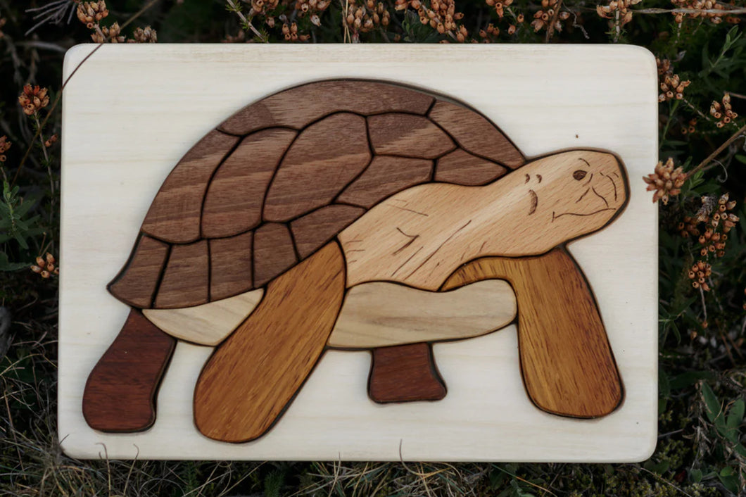 Turtle Puzzle