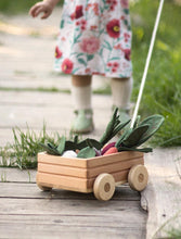 Load image into Gallery viewer, Wooden Pull Along Wagon
