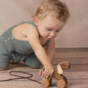 Handcrafted Pull Along Dog