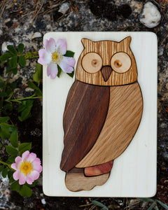Owl puzzle